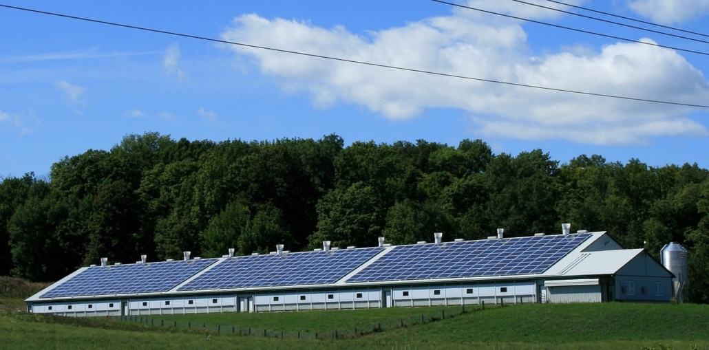 Za investicije v sončne elektrarne bo ponovno na voljo kar 82 milijonov evrov nepovratnih sredstev.